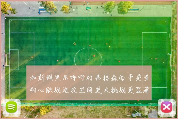 加斯佩里尼呼吁对弗格森给予更多耐心欧战进攻空间更大挑战更显著