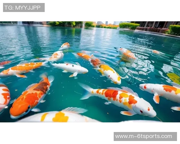 徐新自称阳光球迷称其锦鲤认为好运来自于不做亏心事